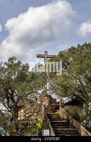 Der alte Eichenwald von Bussaco, in Luso, Aveiro in Portugal. Weg zwischen Bäumen mit Treppen im Wald. Waldweg. Stockfoto