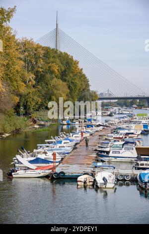 Bootsanleger in Ada Ciganlija mit Ada-Brücke, einer Seilbrücke über die Save am 24. Oktober 2024 in Belgrad, Serbien Stockfoto