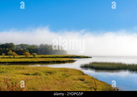 Eine Nebelbank an einem Fluss an einem hellen sonnigen Tag. Der Nebel bildet in der Ferne eine Mauer. Blauer Himmel oben, Sümpfe unten. Stockfoto