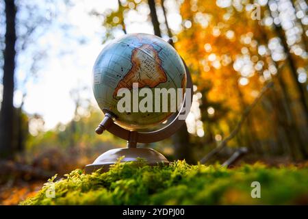 Bayern, Deutschland - 27. Oktober 2024: Globus im Wald, Symbol für Umweltschutz und Verantwortung für unseren Planeten *** Globus im Wald, Symbol für Umweltschutz und Verantwortung für unseren Planeten Stockfoto