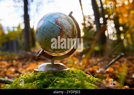 Bayern, Deutschland - 27. Oktober 2024: Globus im Wald, Symbol für Umweltschutz und Verantwortung für unseren Planeten *** Globus im Wald, Symbol für Umweltschutz und Verantwortung für unseren Planeten Stockfoto