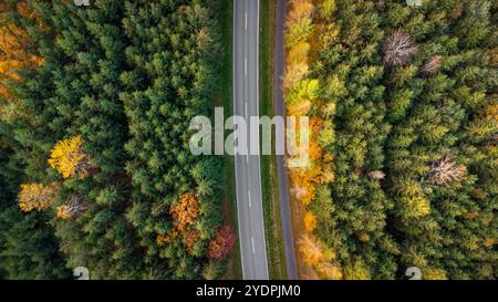 Augsburg Land, Bayern, Deutschland - 27. Oktober 2024: Straße aus der Luft genommen, Allee mit bunten Bäumen auf einer Landstraße im Herbstlaub Laubbäume im Herbst. Luftaufnahme einer Drohne oder Luftaufnahme. *** Straße aus der Luft aufgenommen, Allee mit bunten Bäumen auf einer Landstraße im herbstlichen Laub der Laubbäume im Herbst. Luftbild einer Drohne, bzw. Luftaufnahme. Stockfoto