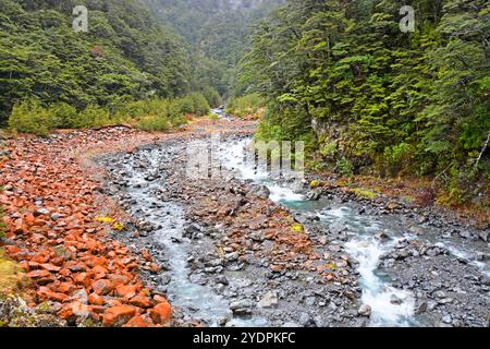 Arthurs Pass distintive rote Felsen, Fluss und Buchen an einem nassen Frühlingstag in Canterbury, Neuseeland. Stockfoto