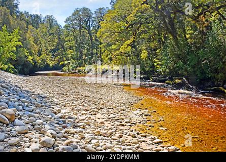 Die oparara River in der Nähe von Karamea, Westküste Neuseeland. Beachten Sie die erstaunliche Golden Brown Kaffee Farbe des Wassers befleckt durch Tannin aus der einheimischen Bäumen Stockfoto