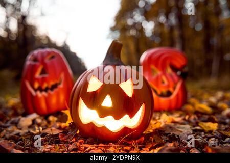 Bayern, Deutschland - 27. Oktober 2024: Glühender Halloween-Kürbis in den Herbstblättern. Gruselige Atmosphäre und gruselige Dekorationen für die Halloween Nacht *** Leuchtender Halloween-Kürbis im Herbstlaub. Gruselige Stimmung und schaurige Deko für die Halloween-Nacht Stockfoto