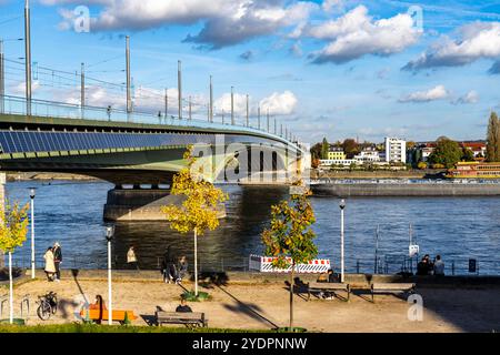 Die Kennedybrücke, mittlere der 3 Bonner Rheinbrücken, verbindet das Zentrum von Bonn und den Stadtteil Beuel, Bundesstraße B56, Stadtbahnlinien und Geh- und Radwege, Frachter auf dem Rhein, Bonn NRW, Deutschland Kennedybrücke *** die Kennedybrücke, die Mitte der Bonns 3 Rheinbrücken, verbindet das Zentrum von Bonn und den Stadtteil Beuel, Bundesstraße B56, Stadtbahnlinien und Fuß- und Radwege, Frachter auf dem Rhein, Frachtschiff, Bonn NRW, Deutschland Kennedy Brücke Stockfoto