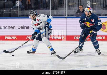 München, Deutschland. Oktober 2024. Charles Bertrand (ERC Ingolstadt Panther, #33) und Jonathan Blum (EHC Red Bull Muenchen, #24). GER, EHC Red Bull München vs. ERC Ingolstadt Panther, Eishockey, DEL, 13. Spieltag, Saison 2024/2025, 27.10.2024. Foto: Eibner-Pressefoto/Franz feiner Credit: dpa/Alamy Live News Stockfoto