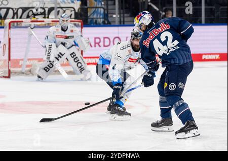 München, Deutschland. Oktober 2024. Yasin Ehliz (EHC Red Bull Muenchen, #42) beim Schuss gegen Morgan Ellis (ERC Ingolstadt Panther, #4). GER, EHC Red Bull München vs. ERC Ingolstadt Panther, Eishockey, DEL, 13. Spieltag, Saison 2024/2025, 27.10.2024. Foto: Eibner-Pressefoto/Franz feiner Credit: dpa/Alamy Live News Stockfoto