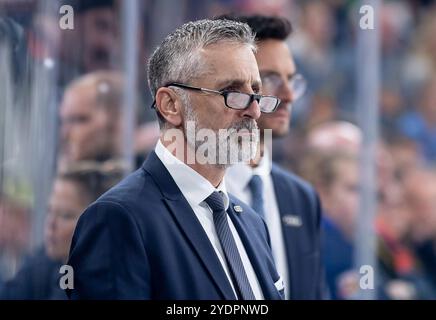 München, Deutschland. Oktober 2024. Mark French (Cheftrainer, ERC Ingolstadt Panther). GER, EHC Red Bull München vs. ERC Ingolstadt Panther, Eishockey, DEL, 13. Spieltag, Saison 2024/2025, 27.10.2024. Foto: Eibner-Pressefoto/Franz feiner Credit: dpa/Alamy Live News Stockfoto