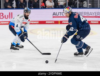 München, Deutschland. Oktober 2024. Morgan Ellis (ERC Ingolstadt Panther, #4) gegen Markus Eisenschmid (EHC Red Bull Muenchen, #11). GER, EHC Red Bull München vs. ERC Ingolstadt Panther, Eishockey, DEL, 13. Spieltag, Saison 2024/2025, 27.10.2024. Foto: Eibner-Pressefoto/Franz feiner Credit: dpa/Alamy Live News Stockfoto