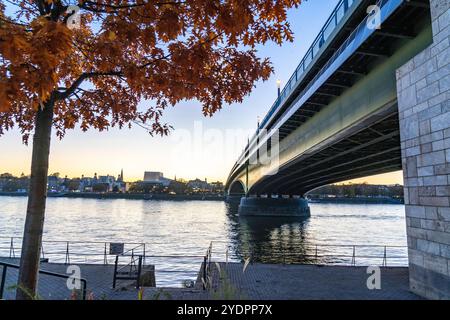 Die Kennedybrücke, mittlere der 3 Bonner Rheinbrücken, verbindet das Zentrum von Bonn und den Stadtteil Beuel, Bundesstraße B56, Stadtbahnlinien und Geh- und Radwege, Bonn NRW, Deutschland Kennedybrücke *** die Kennedybrücke, die Mitte von Bonns 3 Rheinbrücken, verbindet das Zentrum von Bonn und den Stadtteil Beuel, Bundesstraße B56, Stadtbahnlinien und Fußwege und Radwege, Bonn NRW, Deutschland Kennedy Brücke Stockfoto