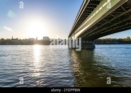 Die Kennedybrücke, mittlere der 3 Bonner Rheinbrücken, verbindet das Zentrum von Bonn und den Stadtteil Beuel, Bundesstraße B56, Stadtbahnlinien und Geh- und Radwege, Bonn NRW, Deutschland Kennedybrücke *** die Kennedybrücke, die Mitte von Bonns 3 Rheinbrücken, verbindet das Zentrum von Bonn und den Stadtteil Beuel, Bundesstraße B56, Stadtbahnlinien und Fußwege und Radwege, Bonn NRW, Deutschland Kennedy Brücke Stockfoto