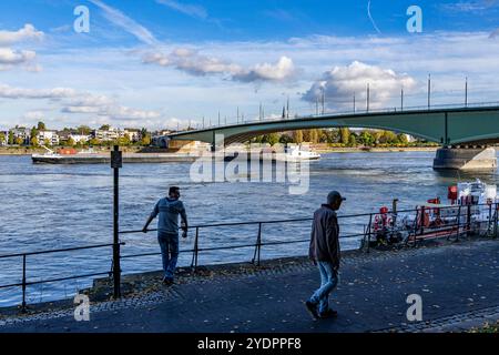 Die Kennedybrücke, mittlere der 3 Bonner Rheinbrücken, verbindet das Zentrum von Bonn und den Stadtteil Beuel, Bundesstraße B56, Stadtbahnlinien und Geh- und Radwege, Bonn NRW, Deutschland Kennedybrücke *** die Kennedybrücke, die Mitte von Bonns 3 Rheinbrücken, verbindet das Zentrum von Bonn und den Stadtteil Beuel, Bundesstraße B56, Stadtbahnlinien und Fuß- und Radwege, Bonn NRW, Deutschland Kennedy Brücke Stockfoto