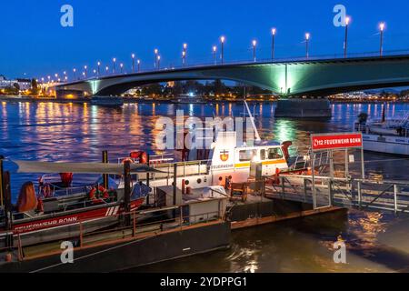 Die Kennedybrücke, mittlere der 3 Bonner Rheinbrücken, verbindet das Zentrum von Bonn und den Stadtteil Beuel, Bundesstraße B56, Stadtbahnlinien und Geh- und Radwege, Bonn NRW, Deutschland Kennedybrücke *** die Kennedybrücke, die Mitte von Bonns 3 Rheinbrücken, verbindet das Zentrum von Bonn und den Stadtteil Beuel, Bundesstraße B56, Stadtbahnlinien und Fußwege und Radwege, Bonn NRW, Deutschland Kennedy Brücke Stockfoto