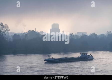 Frachtschiff auf dem Rhein bei Morgennebel, fahren Talwärts, Bonn, NRW, Deutschland Rheinschifffahrt *** Frachtschiff auf dem Rhein im Morgennebel, segelabwärts, Bonn, NRW, Deutschland Rheinschifffahrt Stockfoto