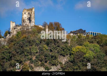 Drachenfels, ein Berg im Siebengebirge am Rhein zwischen Bad Honnef und Königswinter, mit Burgruine Drachenfels, Drachenfelsplateau, NRW, Deutschland, Drachenfels *** Drachenfels, ein Berg im Siebengebirge am Rhein zwischen Bad Honnef und Königswinter, mit Burgruine Drachenfels, Hochplateau Drachenfels, NRW, Deutschland, Drachenfels Stockfoto