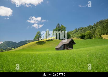 Rustikale Berghütte inmitten üppiger Sommerfelder bei Lienbach, Österreich Stockfoto