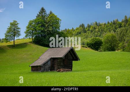 Rustikale Berghütte inmitten üppiger Sommerfelder bei Lienbach, Österreich Stockfoto