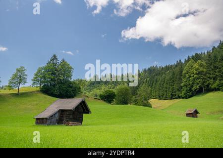 Rustikale Berghütte inmitten üppiger Sommerfelder bei Lienbach, Österreich Stockfoto