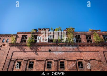 Bäume und grüne Sträucher wachsen an der Fassade eines alten verlassenen / verlassenen roten Backsteingebäudes in Berlin, Deutschland, Europa Stockfoto