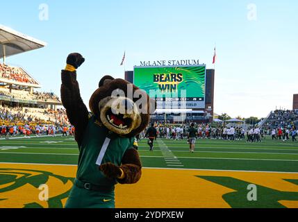 Waco, Texas, USA. Oktober 2024. Baylor Bears Maskottchen am Ende des NCAA Football-Spiels zwischen den Oklahoma State Cowboys und Baylor Bears im McLane Stadium in Waco, Texas. Matthew Lynch/CSM/Alamy Live News Stockfoto