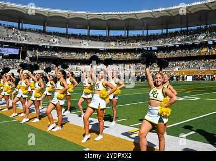 Waco, Texas, USA. Oktober 2024. Baylor Bears Cheerleader vor dem NCAA Football Spiel zwischen den Oklahoma State Cowboys und Baylor Bears im McLane Stadium in Waco, Texas. Matthew Lynch/CSM/Alamy Live News Stockfoto