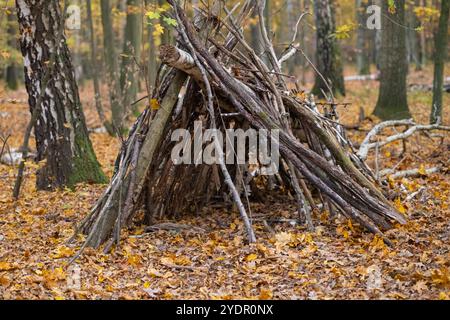 Rustikaler Unterstand aus gestapelten Zweigen im Herbstwald mit bunten gefallenen Blättern. Überlebensfähigkeiten, Wildnis-Schutzhütte und Naturerkundung Stockfoto