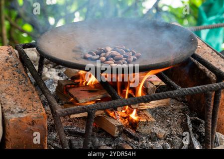 Kakaobohnen, die über einem rauchigen Feuer auf einem primitiven Grill rösten. Blick von der Seite. Stockfoto