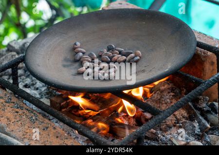 Kakaobohnen, die über einem Feuer auf einem primitiven Grill rösten. Blick aus einem leicht nach unten gerichteten Winkel. Stockfoto