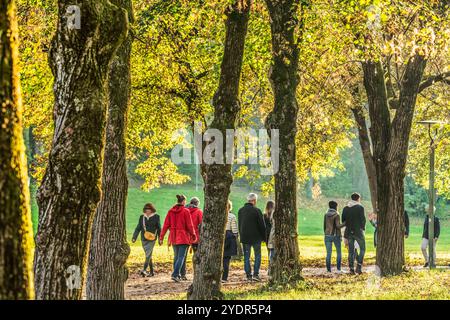 Sonntagsspaziergang im Westpark, Goldener Oktober, München, Oktober 2024 Deutschland, München, 27. Oktober 2024, Goldener Oktober im Westpark, Münchner geniessen die letzten sonnigen Herbsttage bei einem Spaziergang im Park, schönes Wetter am Sonntagnachmittag, Sonnenschein und milde Temperaturen, Sonntagsspaziergang, Herbst, Bayern, *** Sunday Walk in Westpark, Golden October, München, Oktober 2024 Deutschland, München, München, 27. Oktober 2024, Goldener Oktober im Westpark, Münchner genießen die letzten sonnigen Herbsttage mit einem Spaziergang im Park, wunderschönem Wetter am Sonntagnachmittag, Sonnenschein und mildem Te Stockfoto