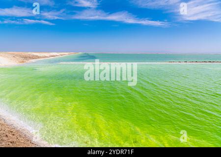 Mineralbergbau in China. Ein Rand von Kristallsalzen umgibt den Qarhan-See, den größten Salzsee playa in China und eine bedeutende Salzquelle Stockfoto