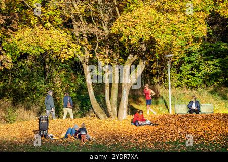 Sonntags im Westpark, Joggen, Lesen, Spazierengehen, Ausruhe, Spielen, München, Oktober 2024 Deutschland, München, 27. Oktober 2024, Sonntags im Westpark, Joggen, Lesen, Spazierengehen, Ausruhe, Spiele, Münchner Geniessen die letzten sonnigen Herbsttage, schönes Wetter am Sonntagnachmittag, Sonnenschein und milde Temperaturen, Sonntagsspaziergang, Herbstlaub, Goldener Oktober, Herbst, Bayern, *** Sonntags im Westpark, Joggen, Lesen, Wandern, Ausruhen, spielen, München, Oktober 2024 Deutschland, München, 27. Oktober, 2024, sonntags in Westpark, Joggen, Lesen, Wandern, ausruhen, spielen, Münchener Rück Stockfoto