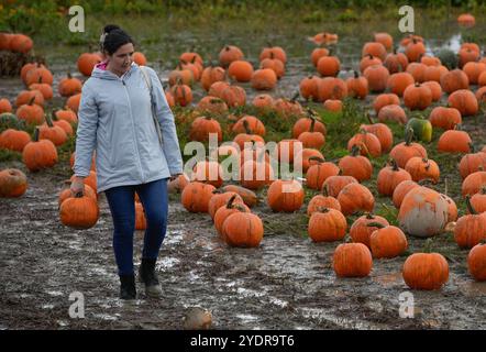 Richmond, Kanada. Oktober 2024. Eine Frau trägt einen Kürbis an einem Kürbisfeld in Richmond, British Columbia, Kanada, 27. Oktober 2024. Die Menschen nahmen an den traditionellen Aktivitäten für Kürbisfelder Teil, um die Herbstsaison und die Kürbisernte zu feiern. Quelle: Liang Sen/Xinhua/Alamy Live News Stockfoto