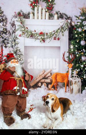 Beagle Dog, Weihnachtsfoto in gemütlicher Atmosphäre Stockfoto