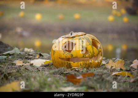 Eine geschnitzte Jack-o'-Laterne sitzt inmitten von herbstlichen Blättern in der Nähe eines friedlichen Teichs. Diese Szene fängt das Wesen von Halloween ein und verbindet Verfall und festi Stockfoto