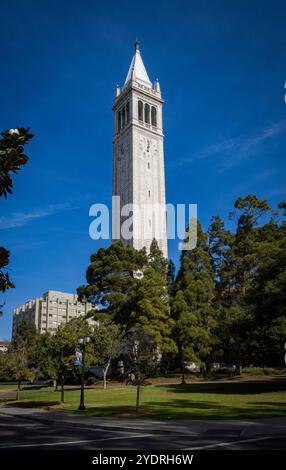 Blick auf den Sather-Turm (das Campanile) auf dem Campus von U.C. Berkeley mit blauem Himmel. Stockfoto