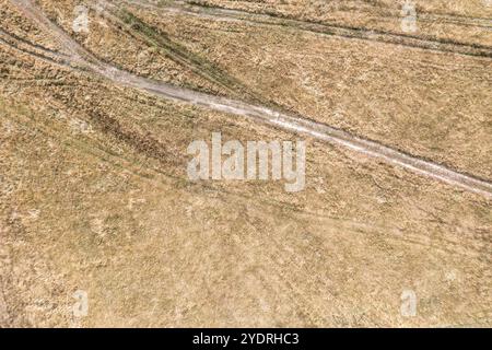 Spuren von Autorädern auf dem trockenen Gras des Herbstfeldes. Draufsicht von der Drohne. Stockfoto