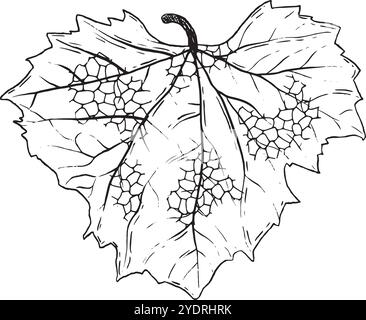 Ein exquisiter und komplizierter Umriss eines Traubenblattes mit Traubenbündeln, perfekt für botanische Designs. Handgezeichnete Vektor-Schwarzweiß-Grafiken in Strichgrafik für gedruckte Materialien, Innenräume und vieles mehr. Stock Vektor