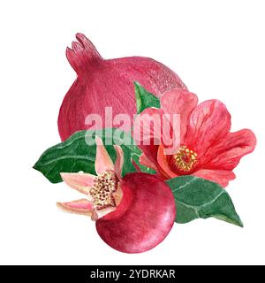 Granatapfelblüten, Früchte und Blätter Aquarellzusammensetzung isoliert auf weiß. Handgezeichnetes, realistisches, lebendiges Design für Teepakete und Karten Stockfoto