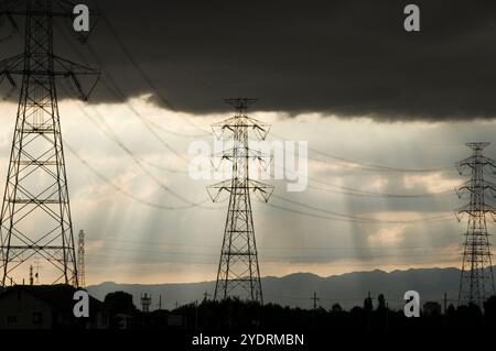 Wiederverwertbare leere Dosen Stockfoto