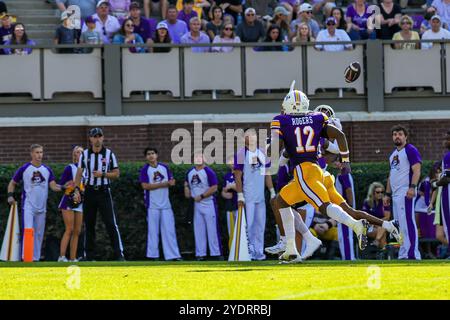 Greenville, North Carolina, USA. Oktober 2024. ASHTON ALLEN (28) versucht im zweiten Viertel des American Athletic Conference Football-Spiels zwischen den Temple OWLS und den East Carolina Pirates am 26. Oktober 2024 im Dowdy-Ficklen Stadium in Greenville, NC, einen tiefen Pass zu erwischen, der von den East Carolina Pirates verteidigt wurde. (Kreditbild: © Israel Anta via ZUMA Press Wire) NUR REDAKTIONELLE VERWENDUNG! Nicht für kommerzielle ZWECKE! Stockfoto