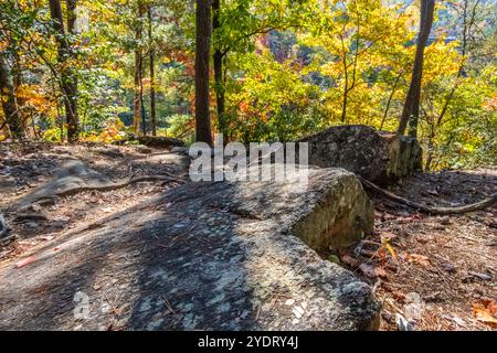 Malerischer Blick auf den North Rim Trail im Tallulah Gorge State Park in Tallulah Falls, Georgia. (USA) Stockfoto