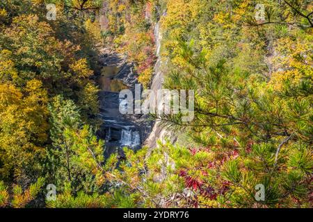 Der Tallulah Gorge State Park bietet einen malerischen Blick auf die L'eau d'Or Falls in Tallulah Falls, Georgia. (USA) Stockfoto