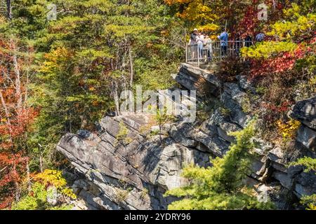 Panoramablick auf den Tallulah Gorge State Park in Tallulah Falls, Georgia. (USA) Stockfoto