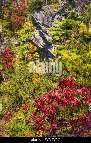 Panoramablick auf die herbstliche Landschaft von einem Blick auf den Tallulah Gorge State Park in Tallulah Falls, Georgia. (USA) Stockfoto