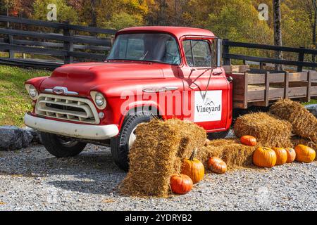 Herbstvorstellung mit rotem Chevy Truck im Vineyard in High Holly in Scaly Mountain bei Highlands, North Carolina. (USA) Stockfoto