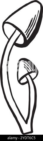 Honig-Pilzskizze. Vektorgrafik-Strichdarstellung, handgezeichnet, isoliert. Schwarz-weiße Kritzelei. Zutat zum Kochen, zur Lebensmittelherstellung Stock Vektor