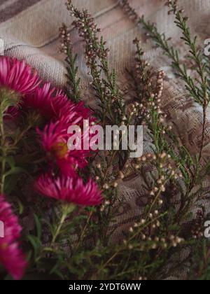 Herbstlicher flacher Lay mit Melange und rosa Aster auf gemustertem Stoff Stockfoto