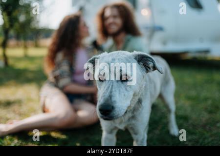 Junges Paar und Hund sind auf einem Campingausflug in die Natur, sitzen vor dem Wohnwagen. Karawanenreisen für Jugendliche. Stockfoto