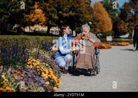 Behinderte ältere Frau im Rollstuhl, die an warmen Herbsttagen im Park spaziert. Junge Krankenschwester zeigt der Seniorin eine Blume. Stockfoto